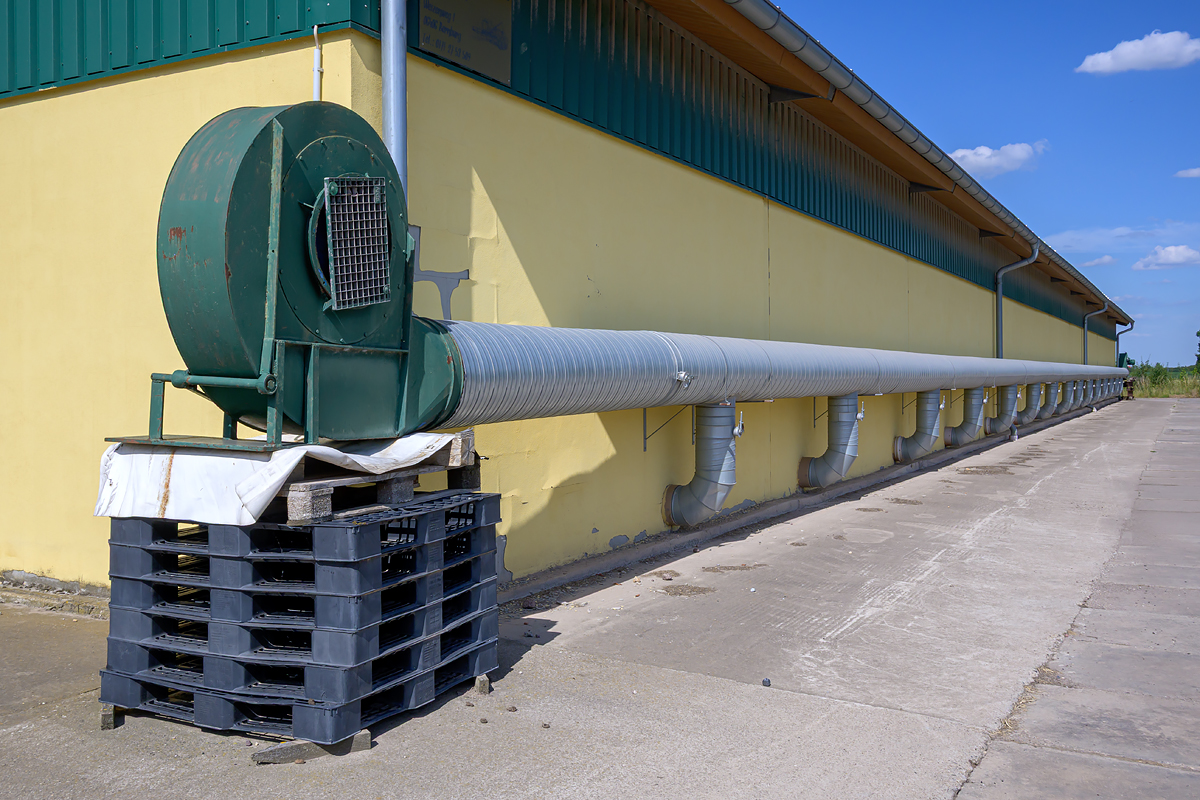OFZ_05482.jpg