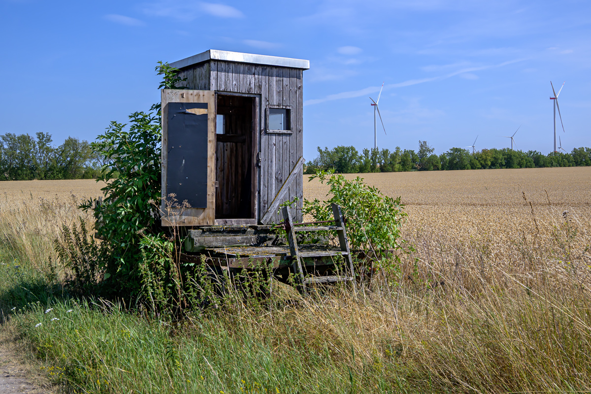 OFZ_06147.jpg