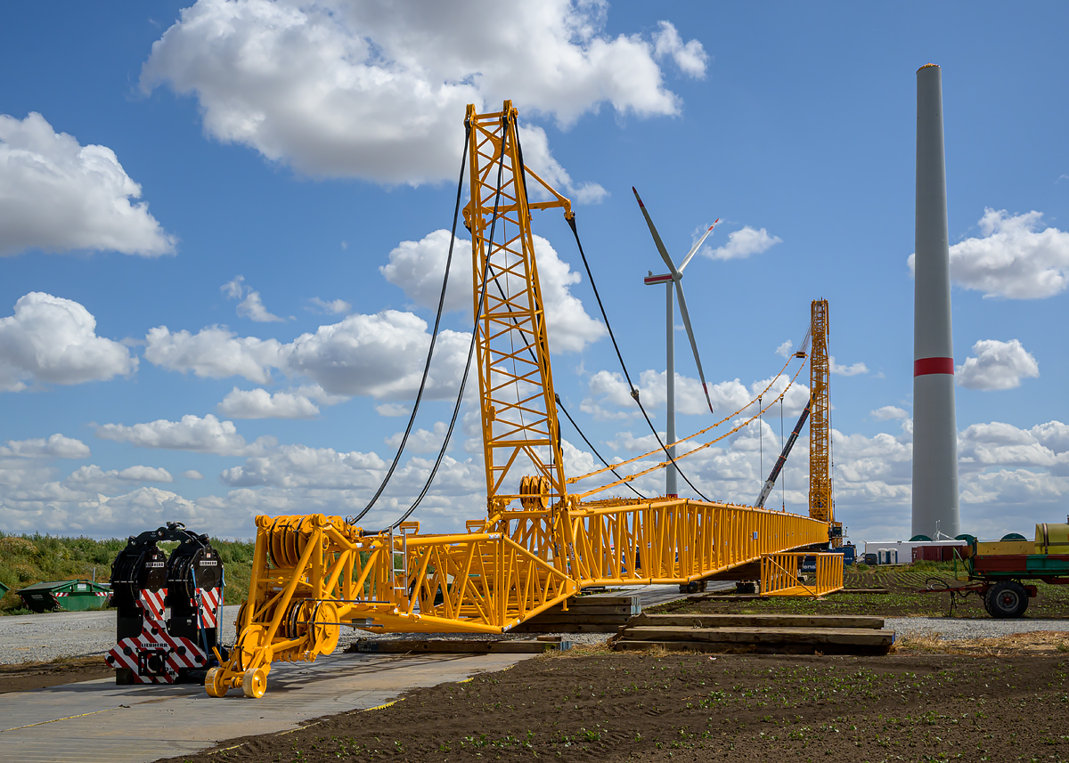 OFZ_06194.jpg