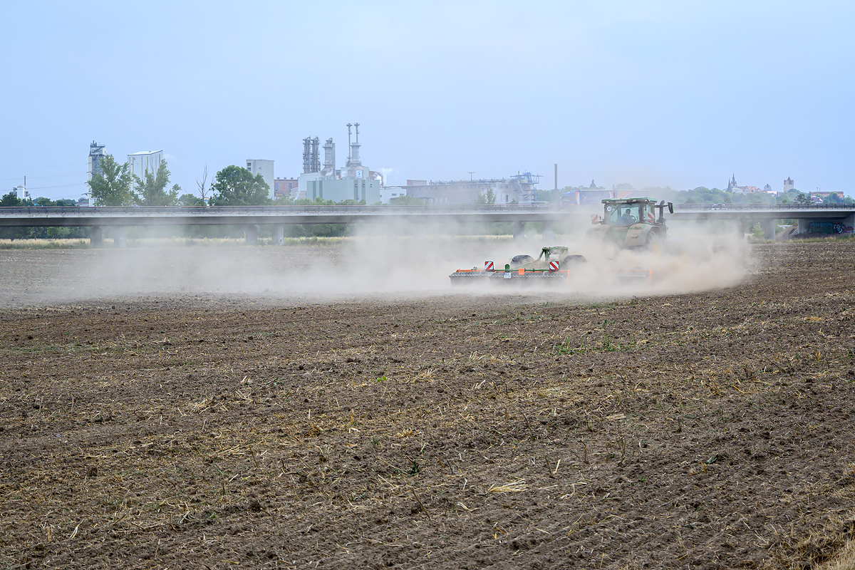 OFZ_06243.jpg