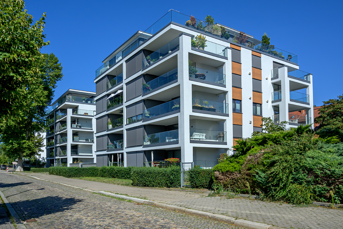 OFZ_06475.jpg