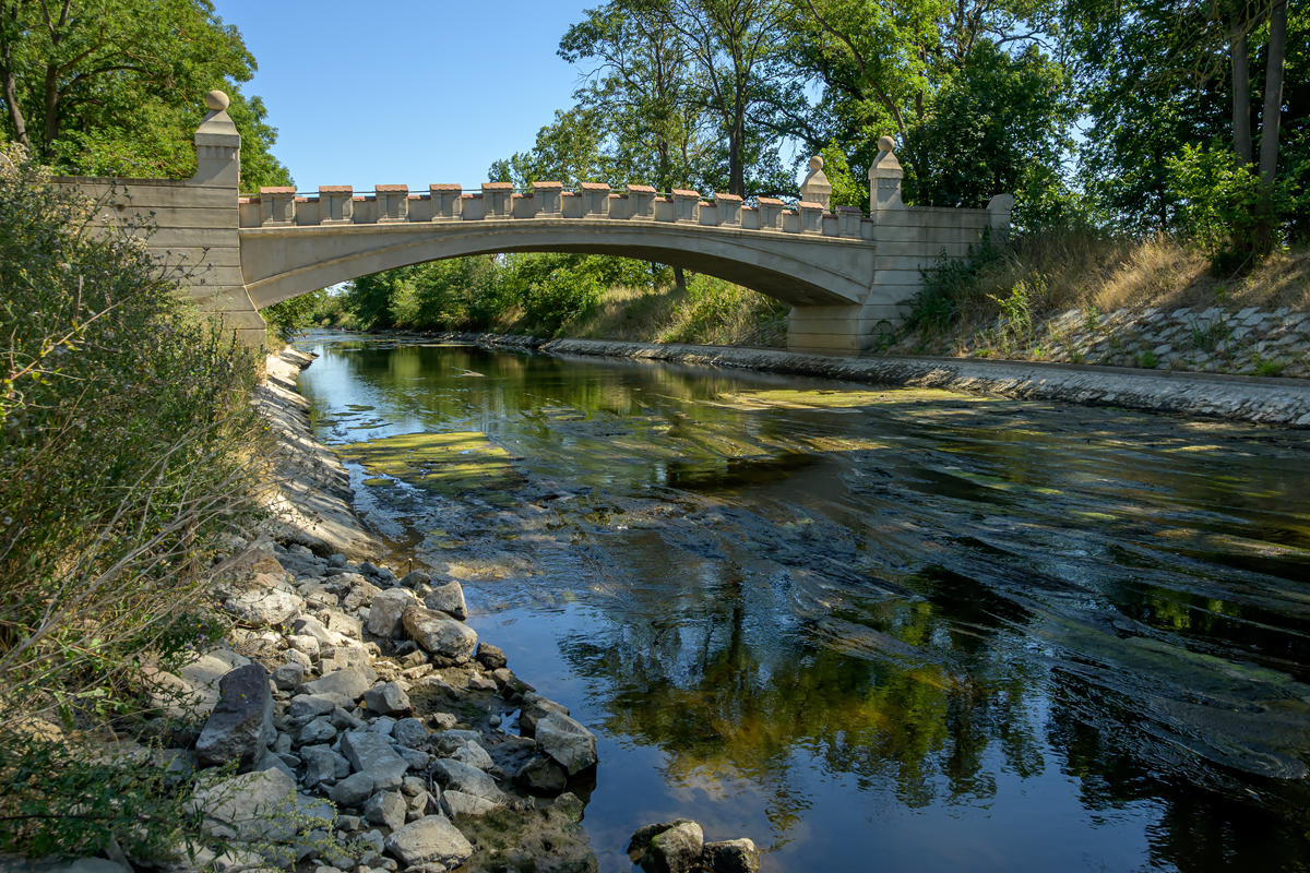 OFZ_06609.jpg