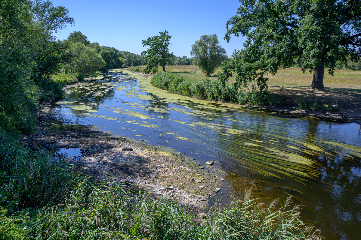 OFZ_06634.jpg
