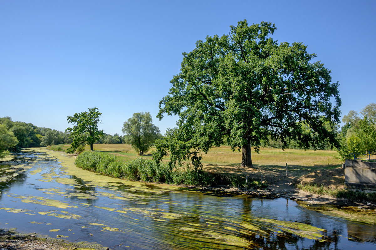 OFZ_06635.jpg