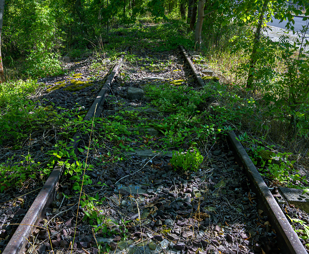 OFZ_06662.jpg