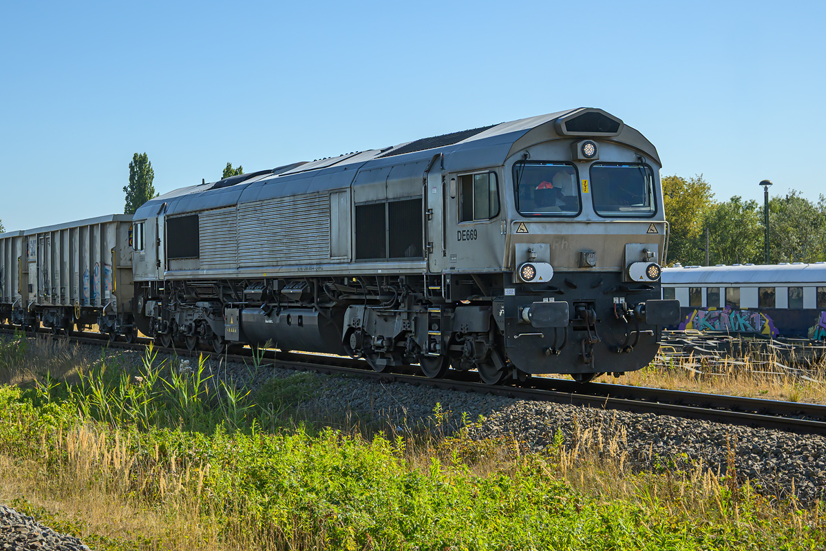 OFZ_06669.jpg