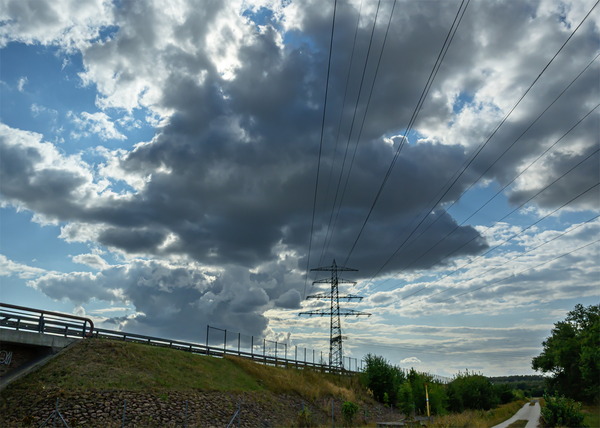OFZ_06821.jpg