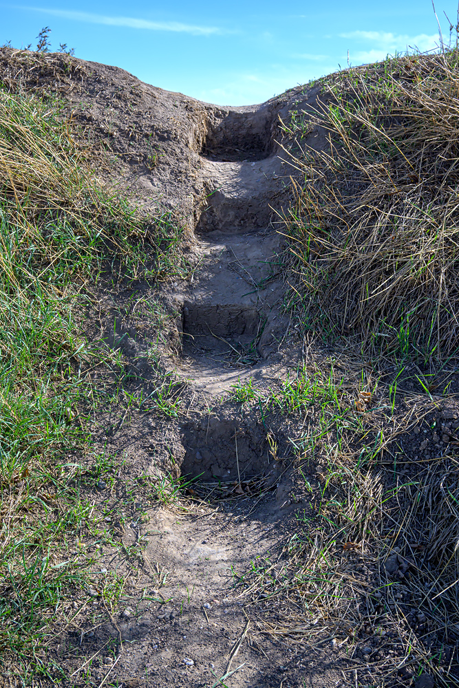 OFZ_06900.jpg