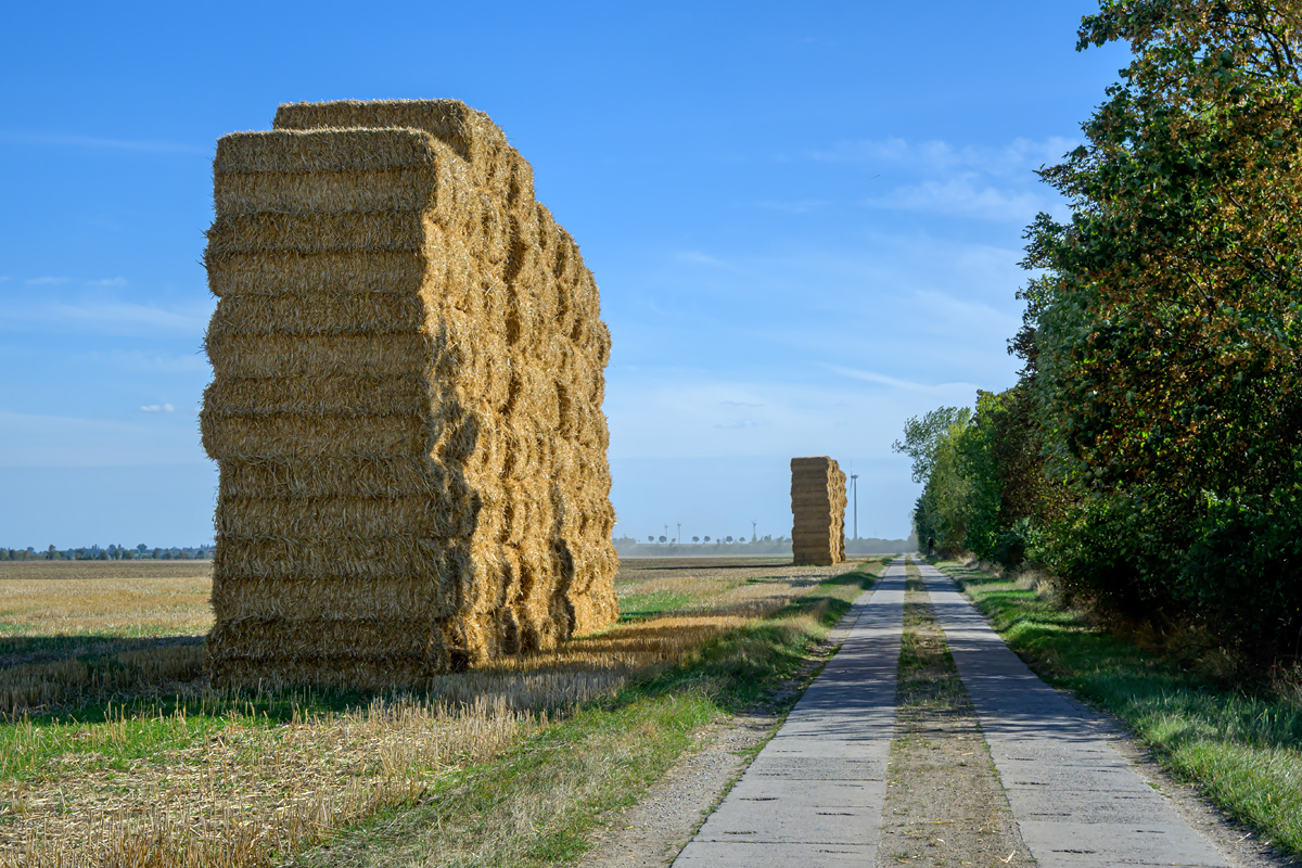OFZ_06910.jpg