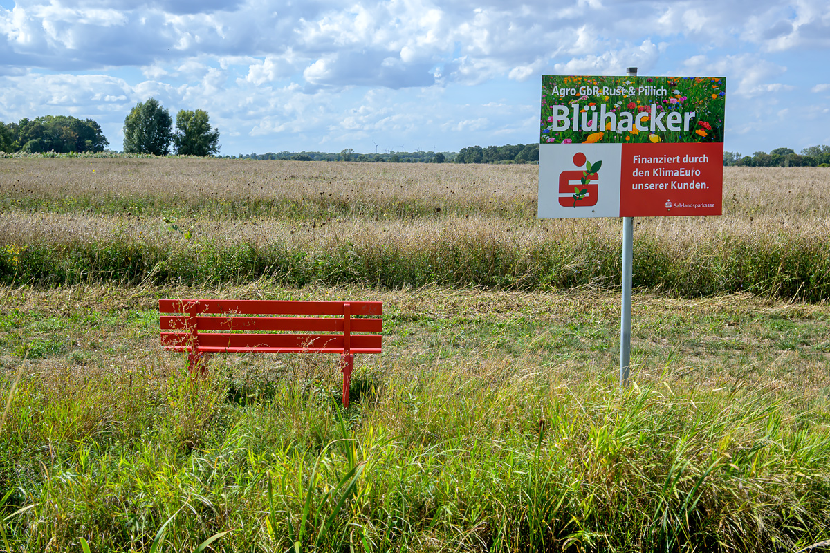 OFZ_07190.jpg