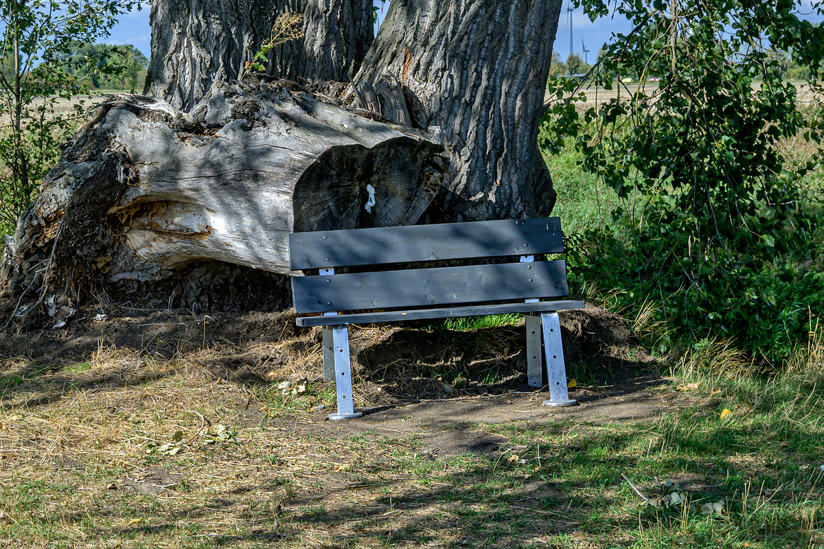 OFZ_07205.jpg