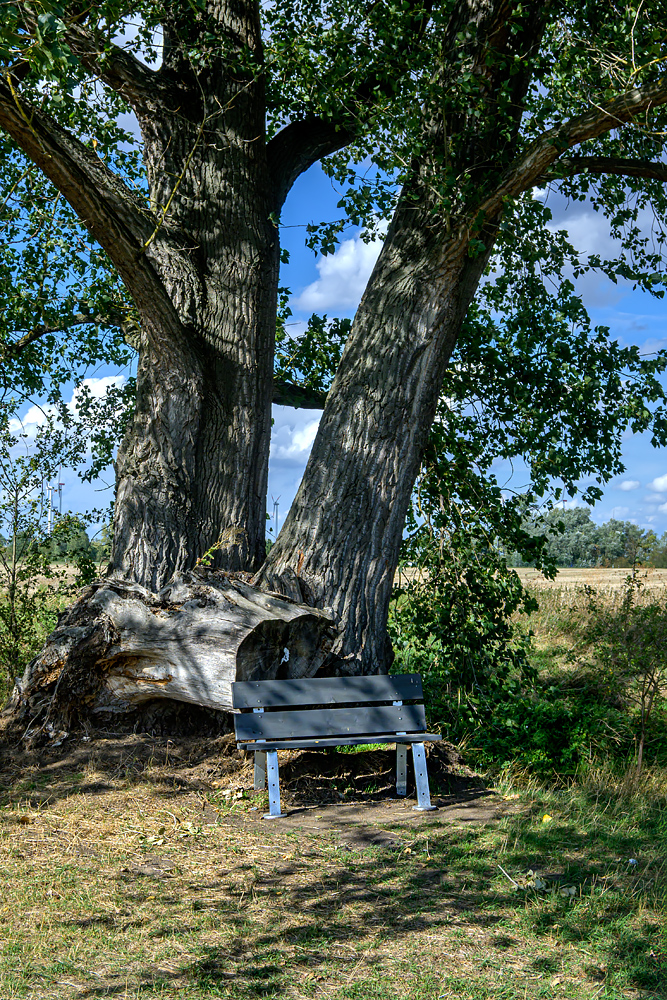 OFZ_07207.jpg