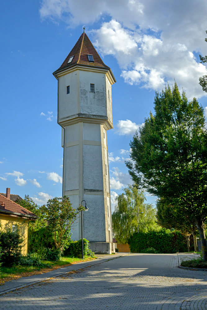 OFZ_07259.jpg