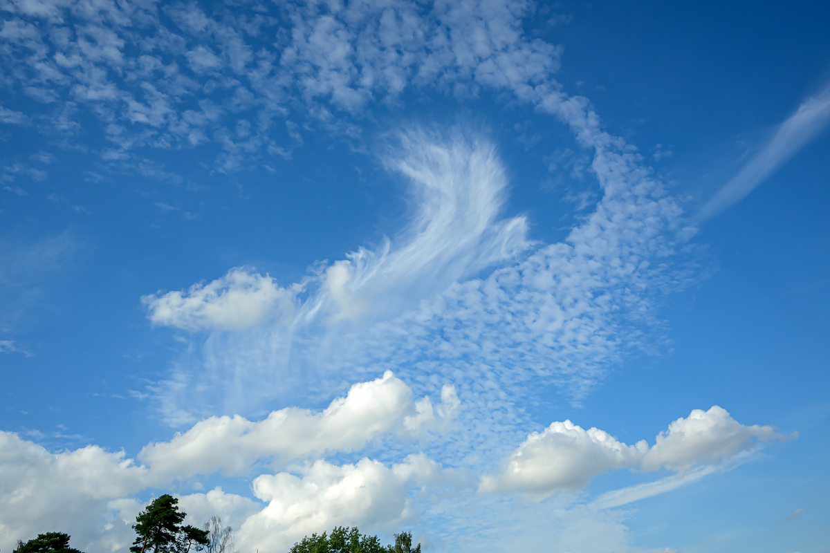 OFZ_07347.jpg
