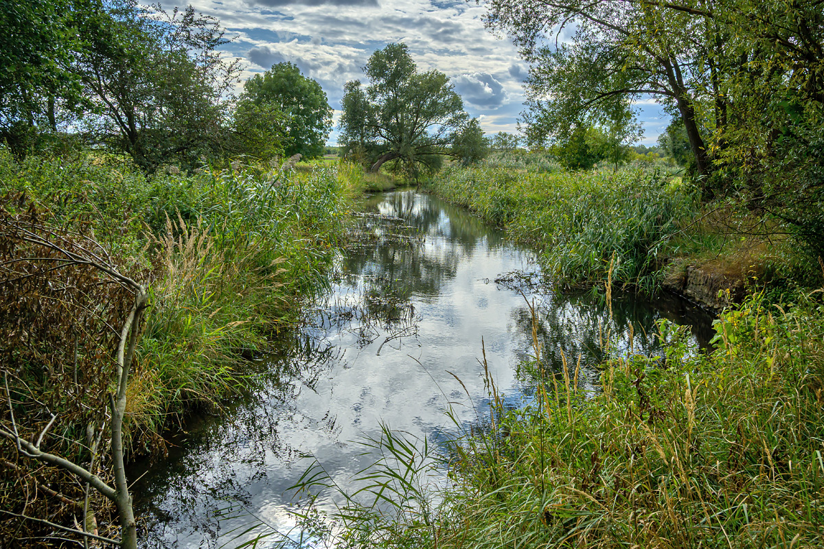 OFZ_07437.jpg