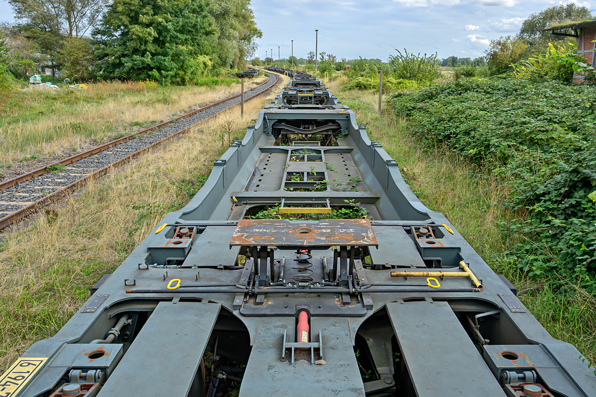 OFZ_07465.jpg