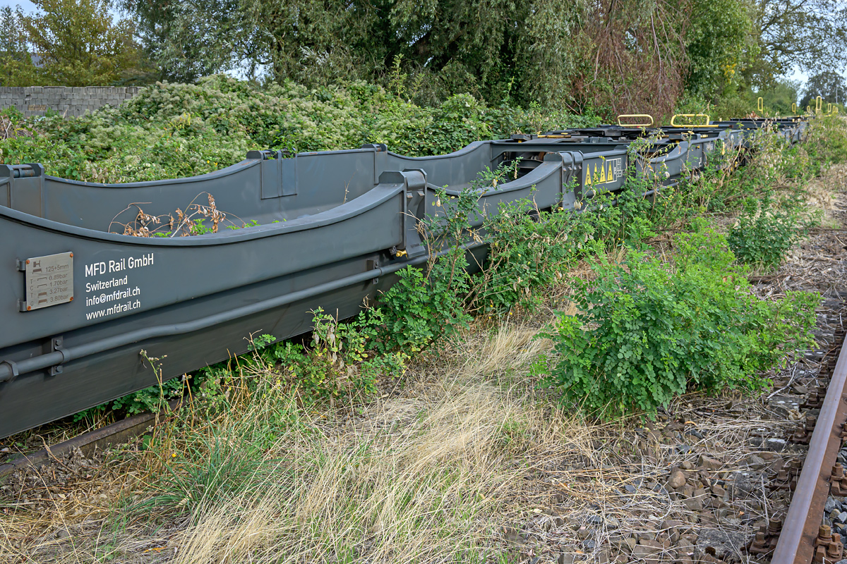 OFZ_07479.jpg