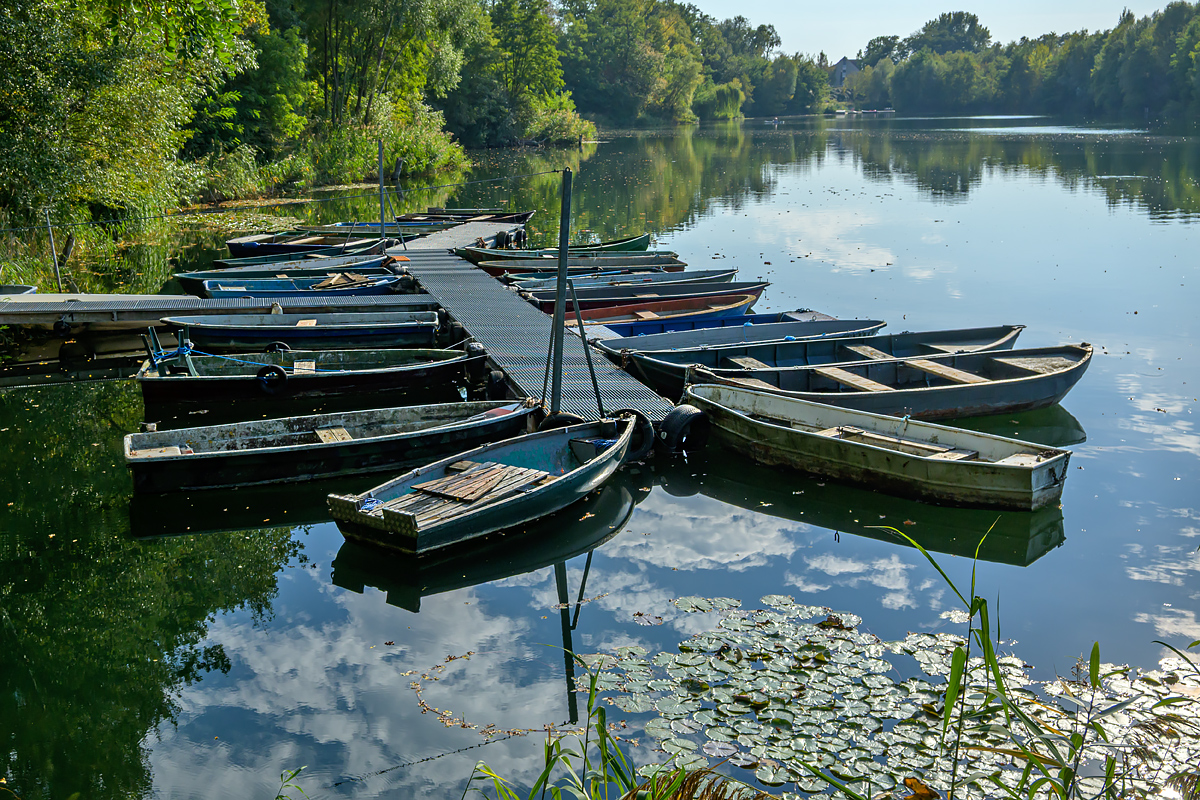 OFZ_07918.jpg