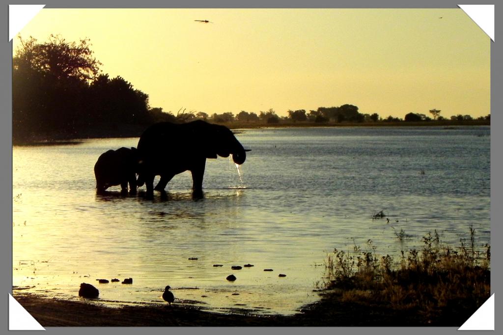 Okavango Fluss