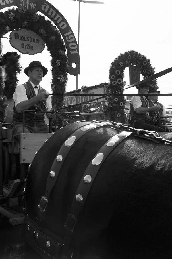 Oktoberfest 2012 1013317