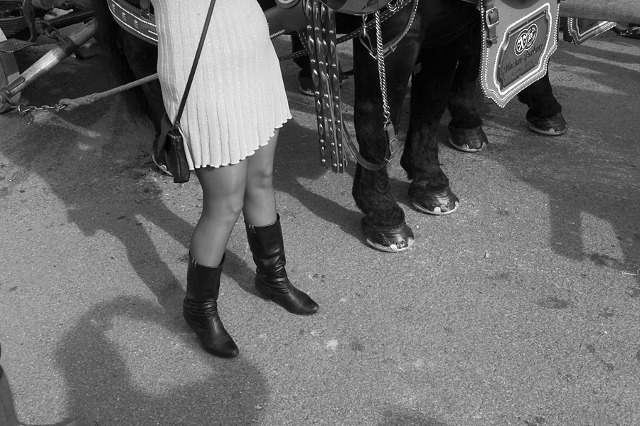 Oktoberfest 2012 1013320