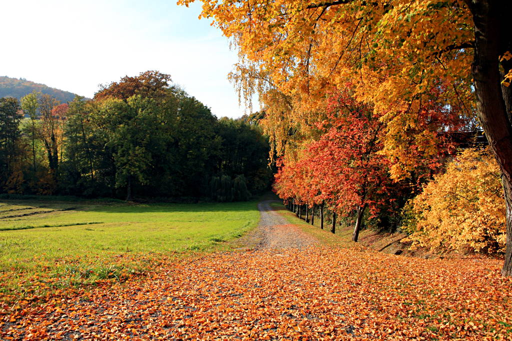 Oktobersonne