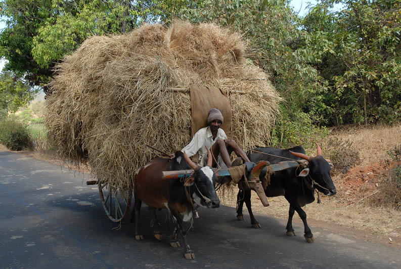 On the road to Hubli (Karnataka)