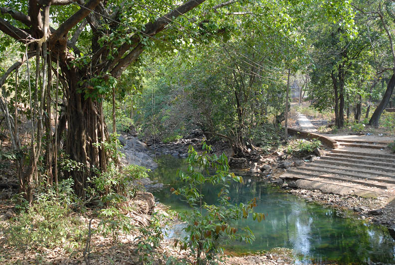 On the way to the temple