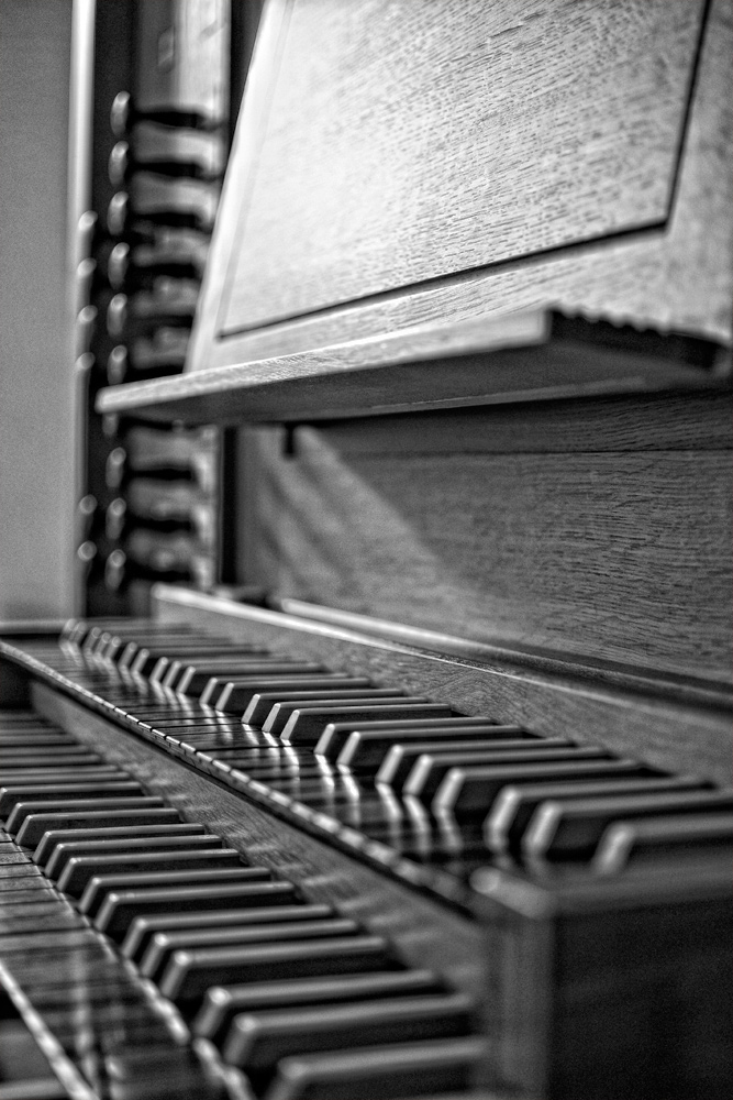 Orgel