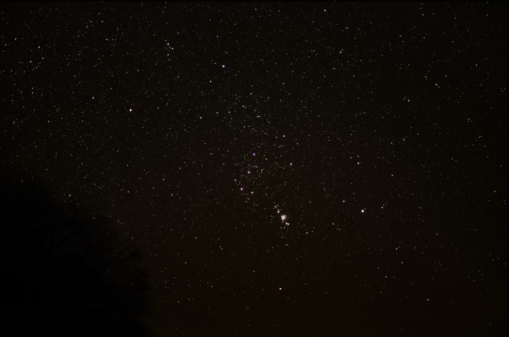Orion
