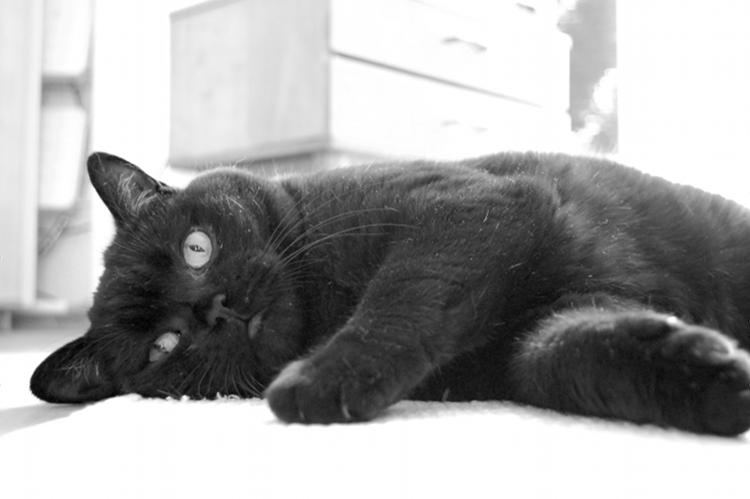Oskar