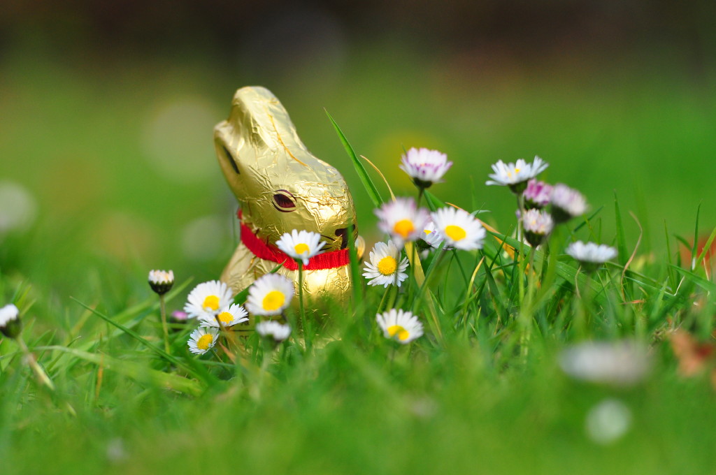 Osterhase :)