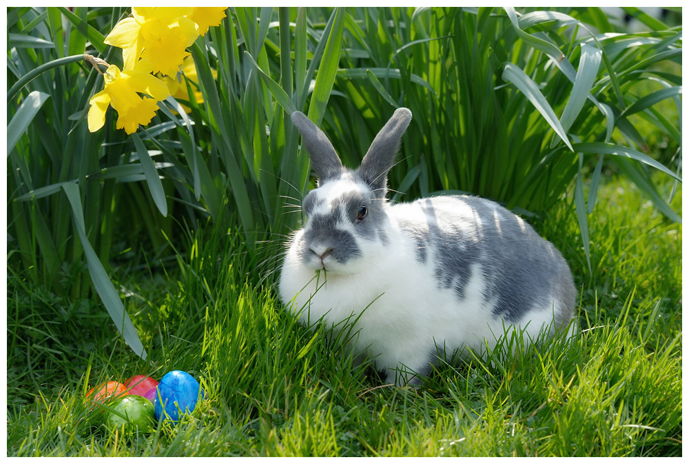 ostern15