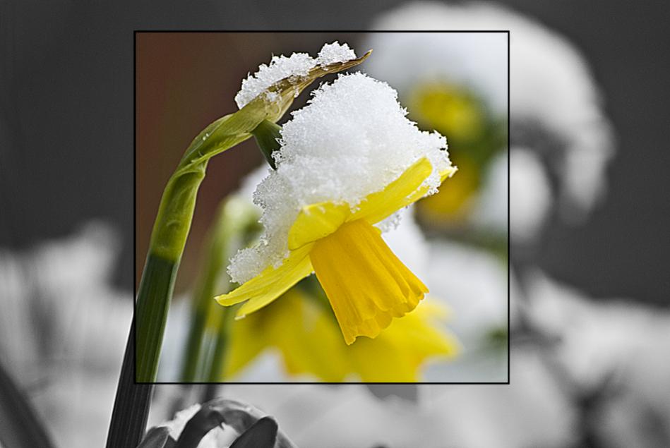 Ostern2008(4 11) Kopie