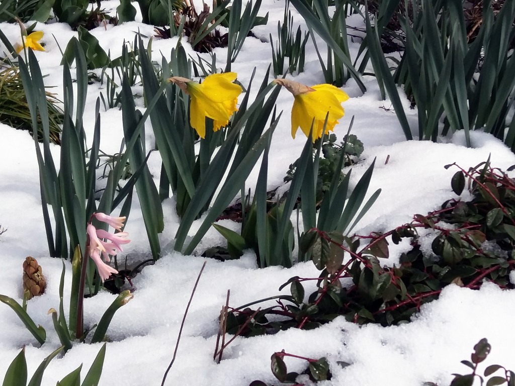 Ostern2015