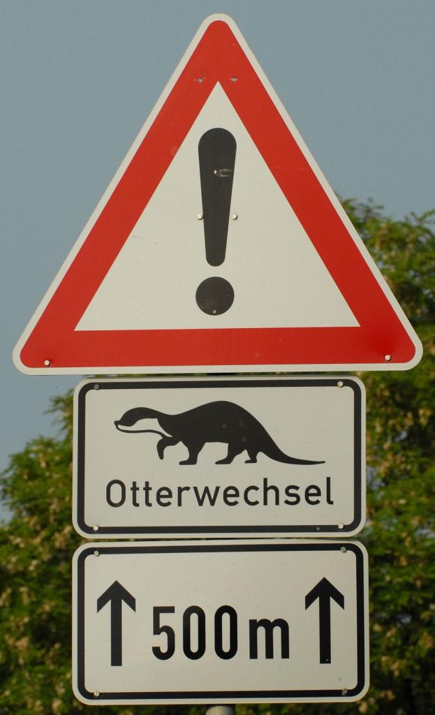 Otterwechsel 1