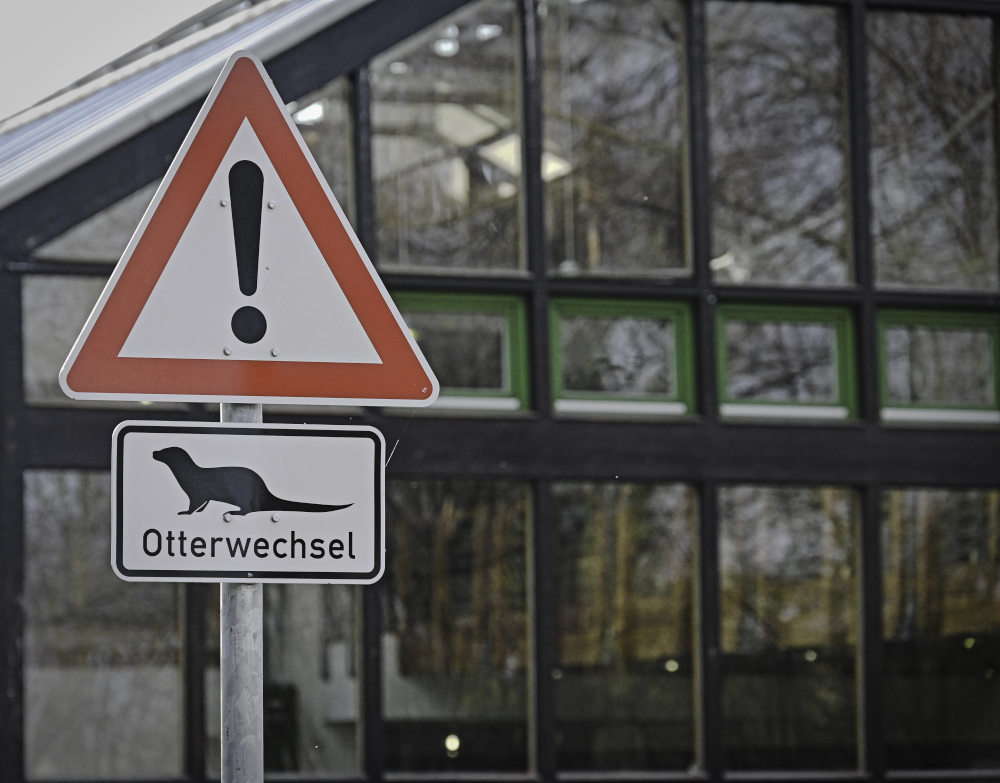 Otterwechsel.jpg