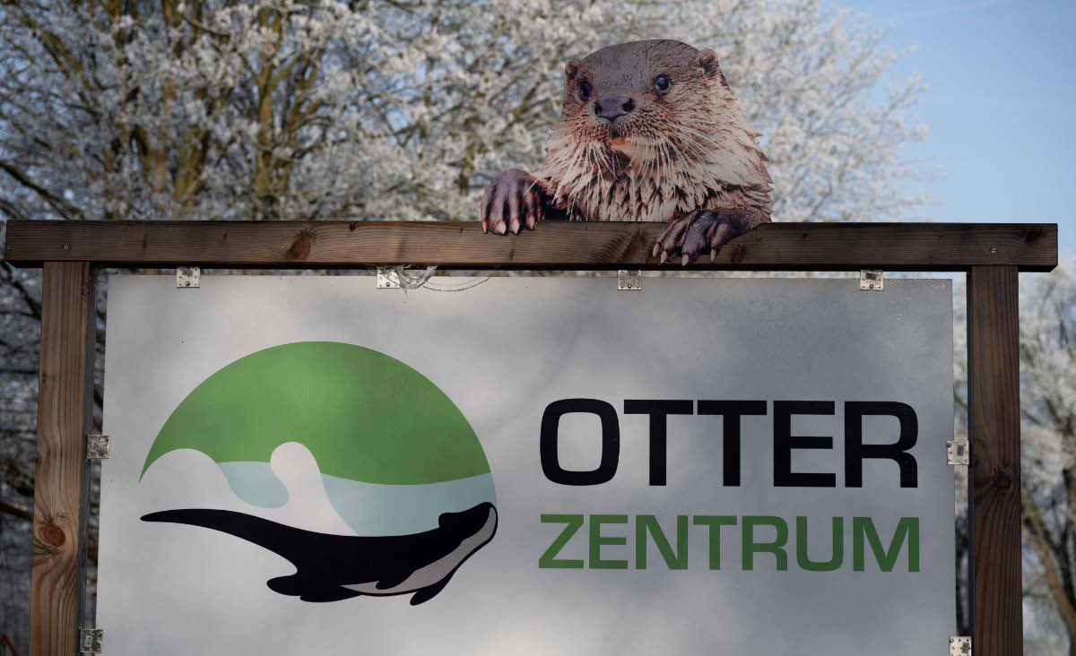 Otterzentrum 1.jpg