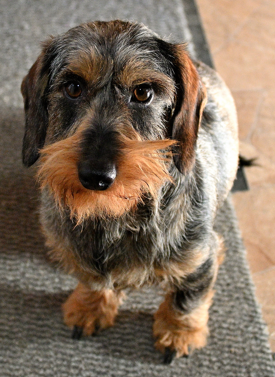 Püppi001.JPG