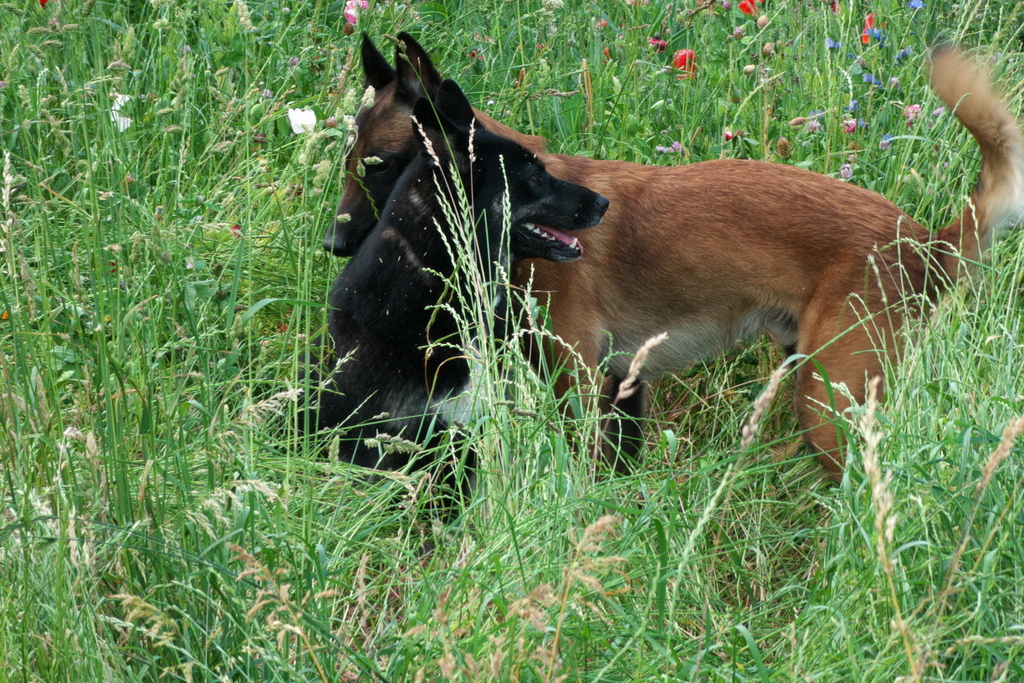 P1000010.jpg