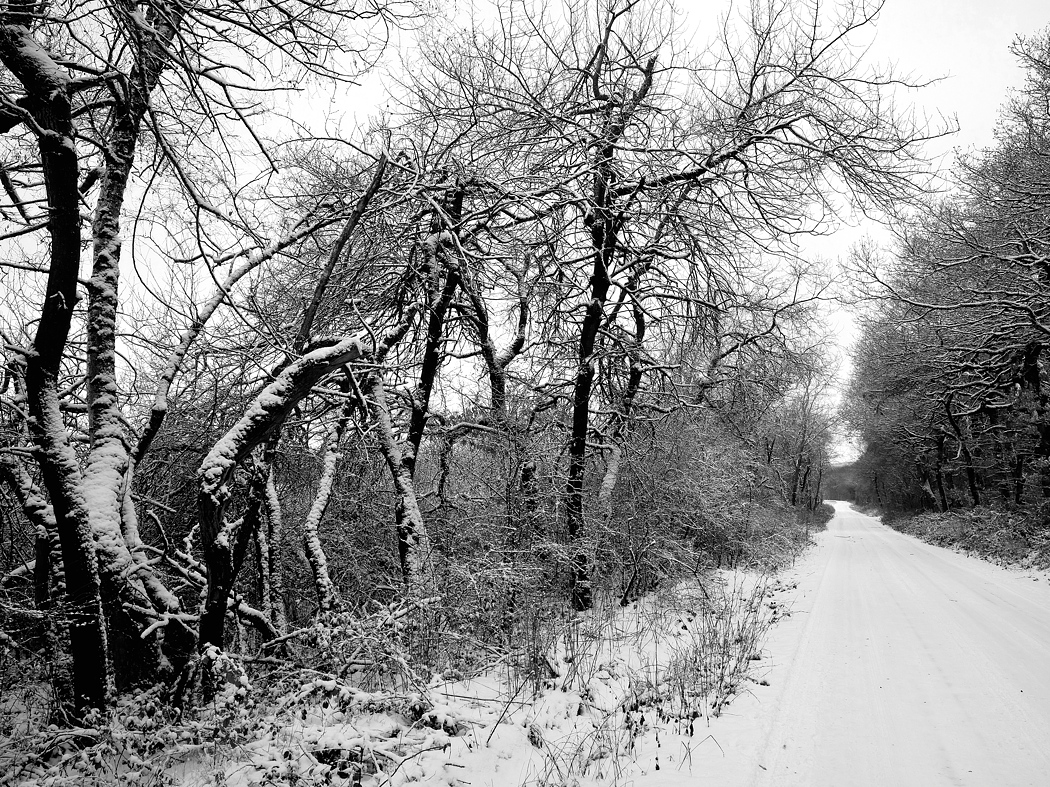 P1000121a sw klein