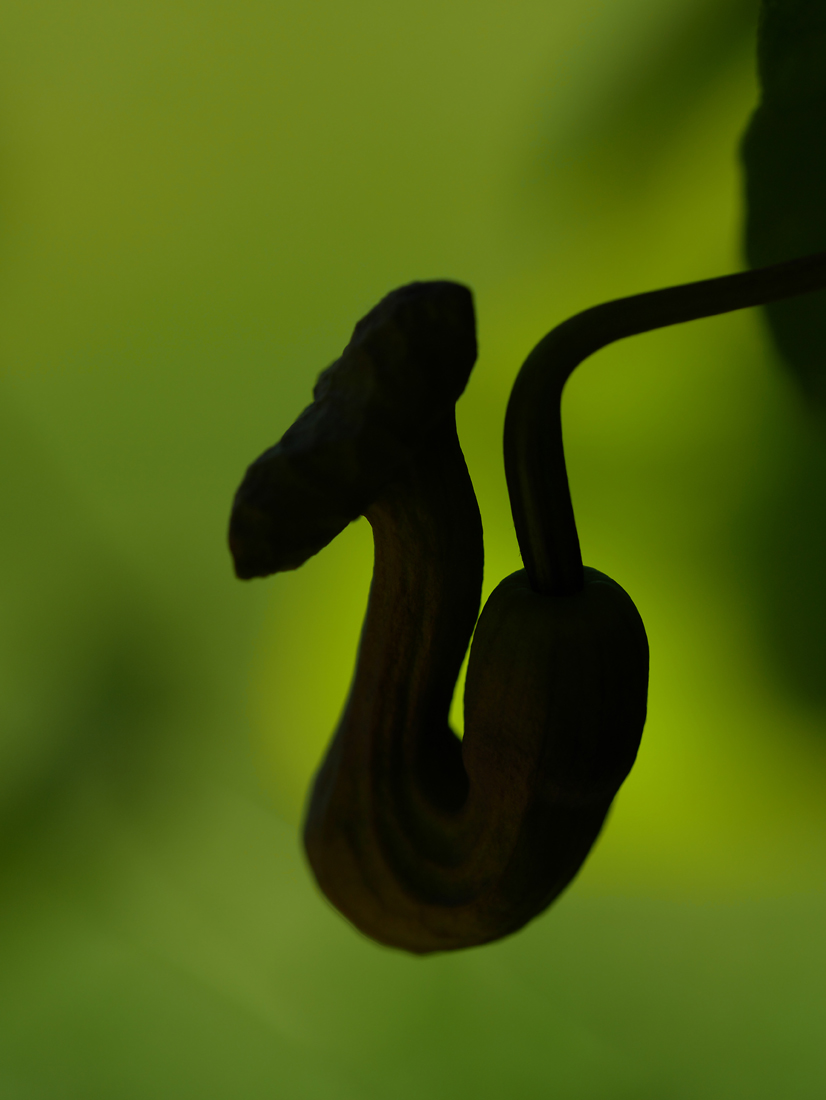 P1000824web