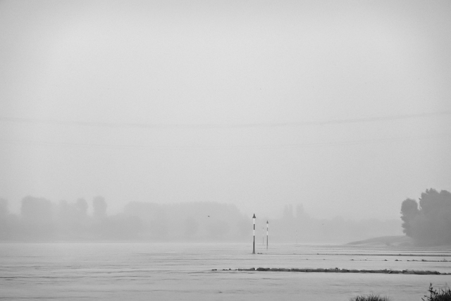 P1000904