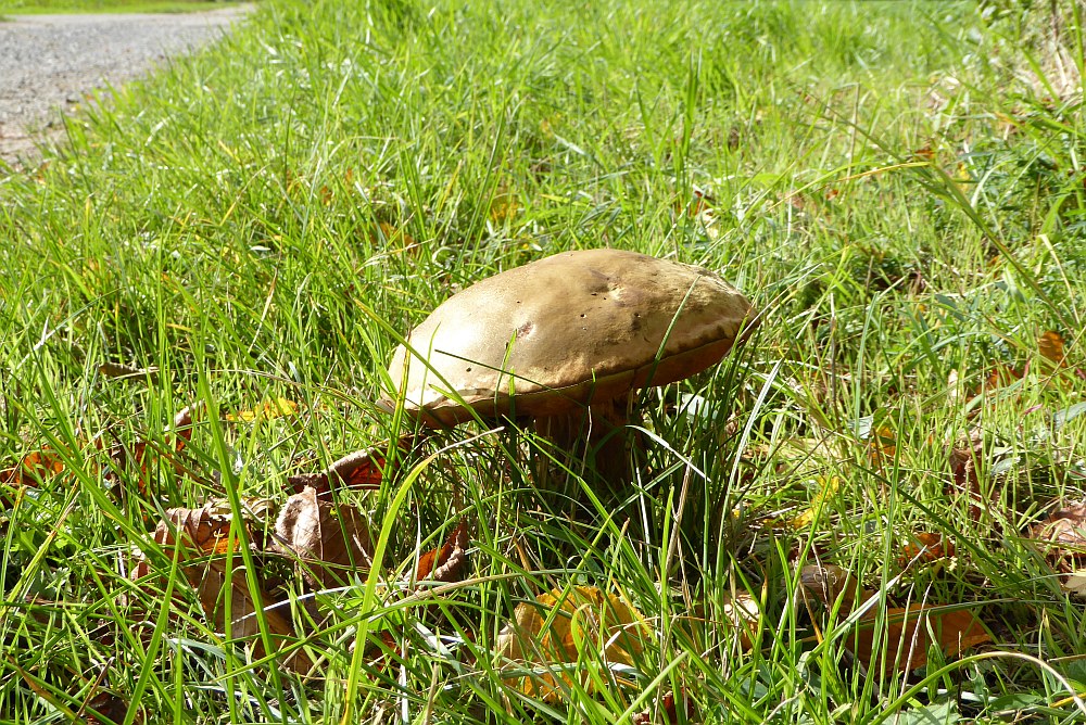 P1000905
