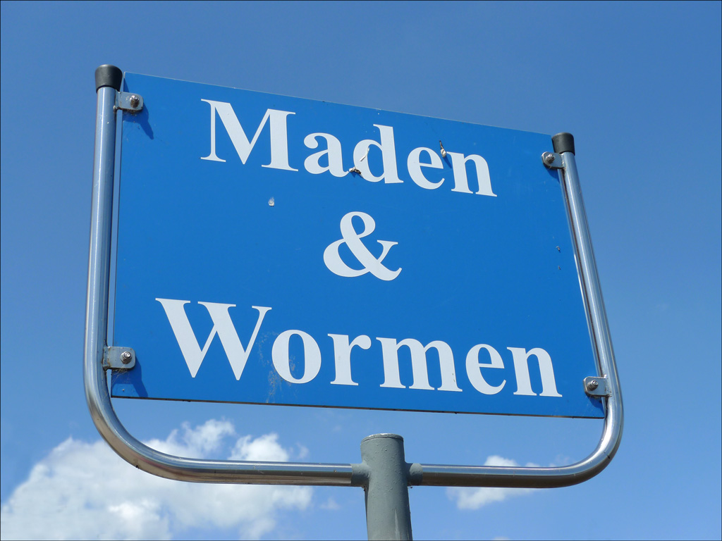 P1000944 Maden w