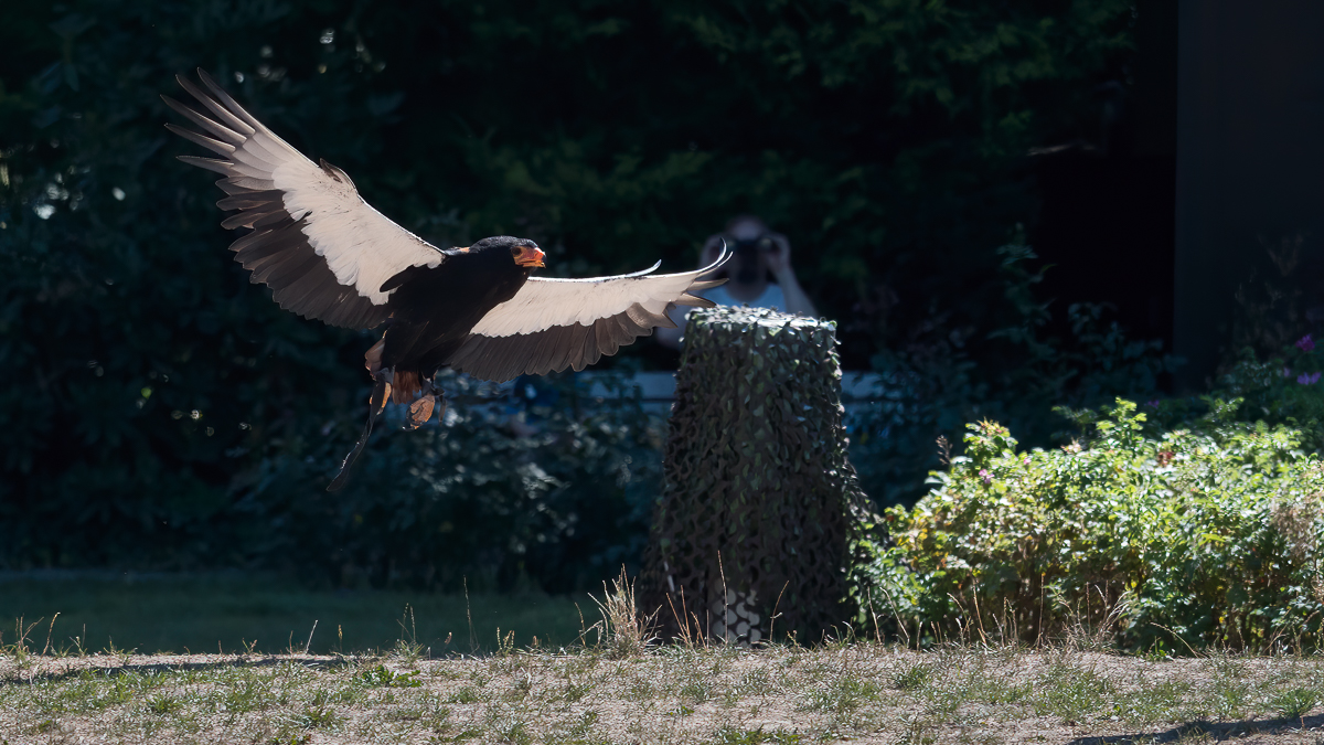 P1004593-Bearbeitet.jpg