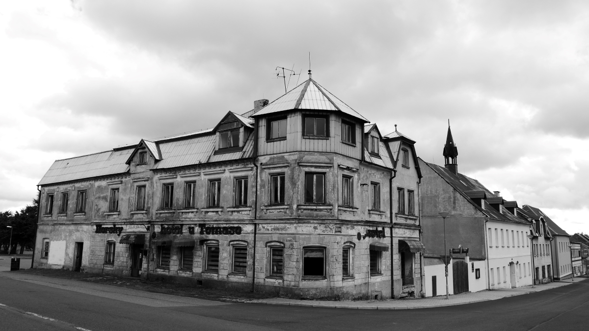 P1010059n.jpg