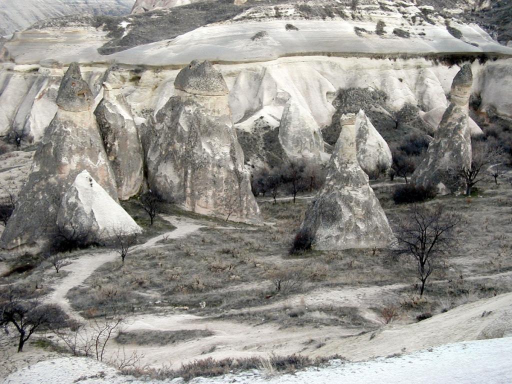 P1010127