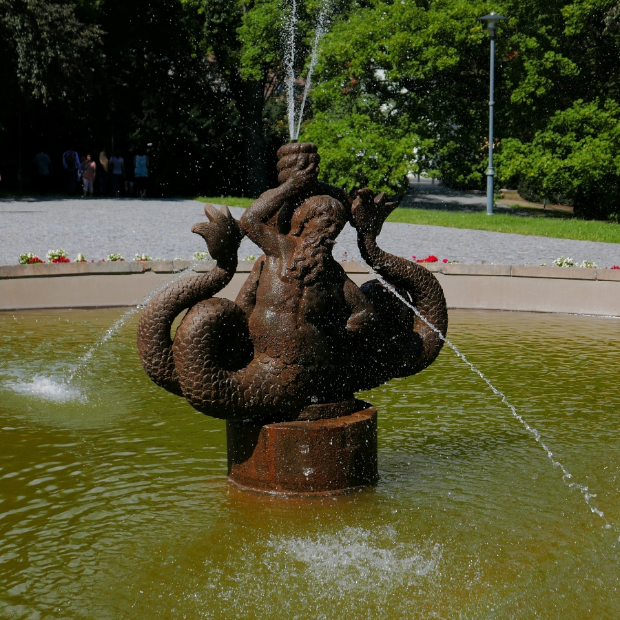 P1010313n.jpg