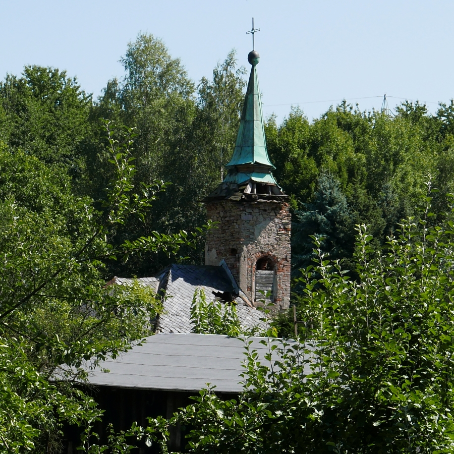 P1010355n.jpg